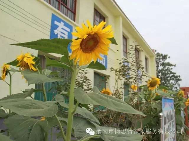 C:\Documents and Settings\Administrator\妗岄潰\222\640.webp (15).jpg C:\Documents and Settings\Administrator\妗岄潰\222\640.webp (15).jpg